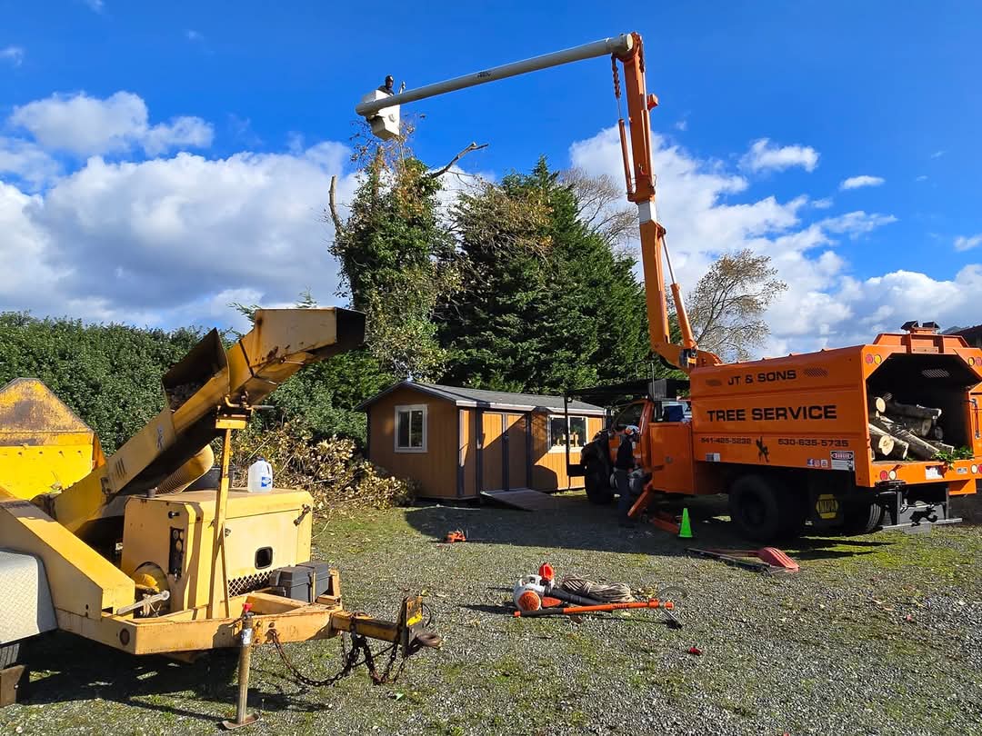 Bandon Tree Service
