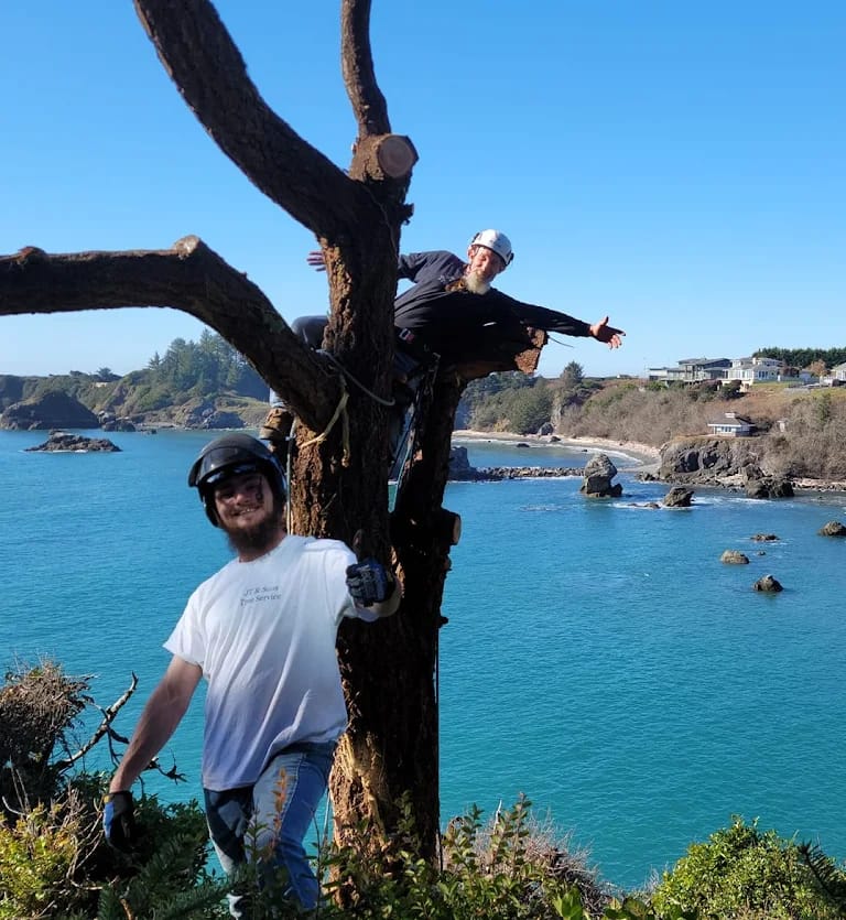 Pistol River Tree Service