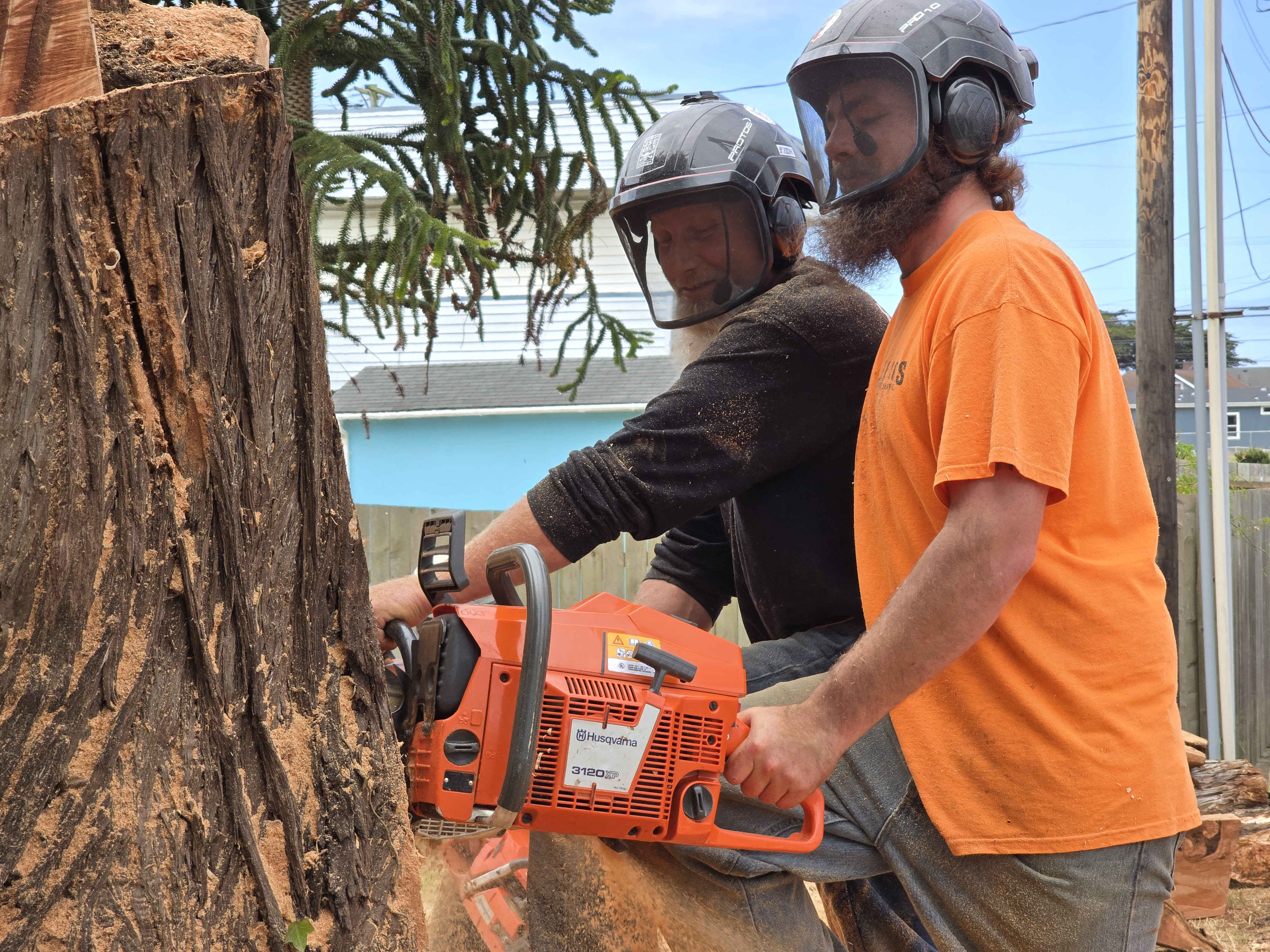 Emergency Tree Service